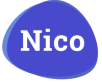 Nico Oud